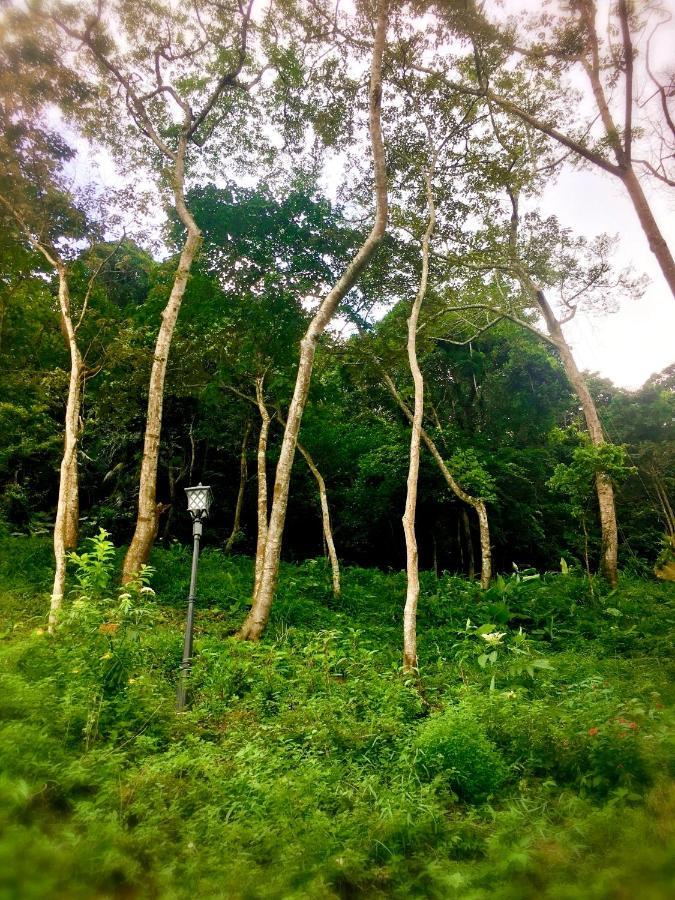 Wan Ruey Resort Hengshan Luaran gambar