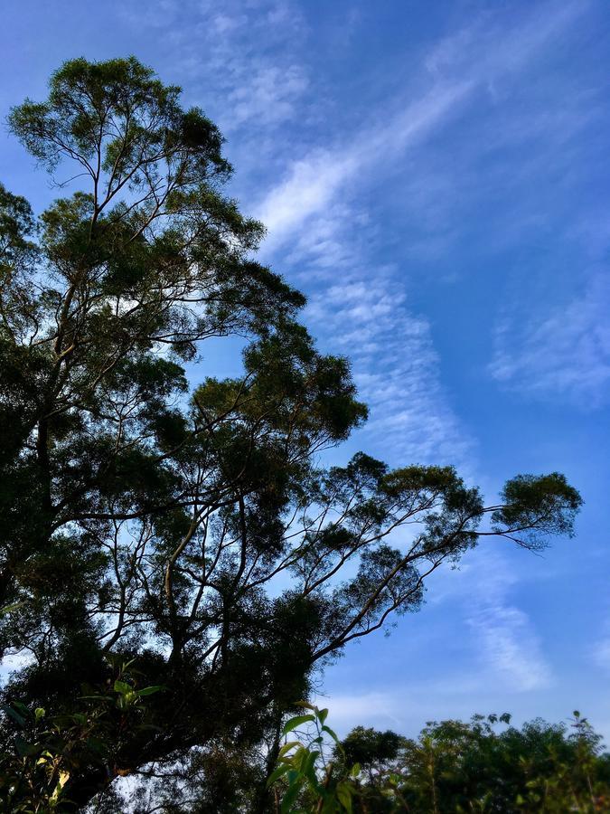 Wan Ruey Resort Hengshan Luaran gambar